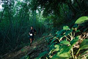 BIB: 
                            <button type="button" onclick="openModal(28124340)" class="btn btn-primary btn-sm float-right btn-popup" data-toggle="modal" data-target=".modal-high-quality">
                        <i class="fas fa-shopping-cart"></i> Add to Cart
                    </button>
                                            <button type="button" onclick="isThisMe(28124340, true)" class="btn btn-success btn-sm float-right btn-popup btn-isme hidden" data-toggle="tooltip" data-placement="bottom" title="นี่คือรูปของคุณใช่ไหม คลิกที่นี่เพื่อเอาเข้าอัลบั้ม">
                        <i class="fas fa-plus"></i> Add to album
                    </button>
                    <button type="button" onclick="isThisMe(28124340, false)" class="btn btn-warning btn-sm float-right btn-popup btn-isnotme hidden">
                        <i class="fas fa-ban"></i> Remove from album
                    </button>